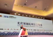 【光伏領(lǐng)袖杭州宣言】承諾2020年前實(shí)現(xiàn)用戶側(cè)平價(jià)上網(wǎng)