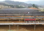 “十三五”主推村級(jí)電站扶貧模式，光伏扶貧電站要做良心工程