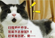 【倒計時7天】2016中國廣州分布式光伏論壇暨中國光伏應用創(chuàng)新聯(lián)盟啟動大會日程在這啦！