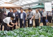全國(guó)人大副委員長(zhǎng)、民建中央主席陳昌智到天合光能考察調(diào)研