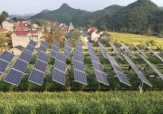 湖北秭歸：光伏發(fā)電立體開(kāi)發(fā)促農(nóng)民增收