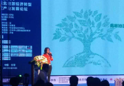 高寒地區(qū)挑戰(zhàn)多?分布式項目光伏逆變器的可靠性是關(guān)鍵！