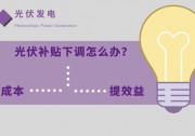 光伏補貼下調(diào)怎么辦？多渠道推動技術(shù)應(yīng)用落地