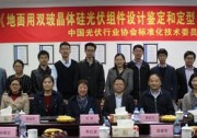 中國光伏行業(yè)協(xié)會標準《地面用雙玻晶體硅光伏組件設(shè)計鑒定和定型》標準技術(shù)預(yù)審會順利召開