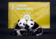 熊貓綠能發(fā)布聯(lián)合國(guó)特制電站 并與WWF簽署合作協(xié)議