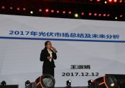 家用式光伏市場的總結(jié)與展望