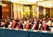 800+光伏精英齊聚2017中國光伏行業(yè)年會 共謀光伏新發(fā)展