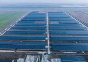 年發(fā)電量1500萬千瓦時(shí) 浙東最大“牧光互補(bǔ)”牛棚發(fā)電站項(xiàng)目投入使用！