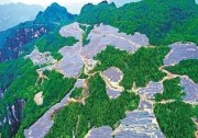 市場優(yōu)化技術升級 光伏平價上網(wǎng)可期！
