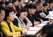 董明珠：加快推進光伏直驅(qū)技術(shù)政策標準制定