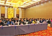 正泰戶用光伏進軍安徽市場，當(dāng)?shù)匦履茉磪f(xié)會鼎力支持