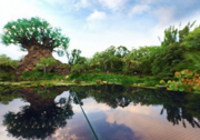 迪士尼世界建50MW太陽能系統(tǒng)為兩個(gè)主題公園提供清潔能源