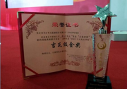 因能航天高效電站斬獲吉瓦級金獎 三大產(chǎn)品獲評SNEC十大亮點