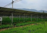 商洛市3MW農(nóng)光互補(bǔ)項(xiàng)目成示范，首航逆變器穩(wěn)定助力，業(yè)主收益有保障