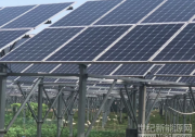 國務(wù)院扶貧辦：光伏扶貧切忌一哄而上，一光了之