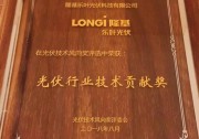 隆基樂(lè)葉摘得“光伏行業(yè)技術(shù)貢獻(xiàn)獎(jiǎng)”殊榮