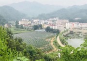 光伏扶貧，我們做了力所能及之事