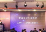 隆基股份:用“高效”和“可靠”走出國門