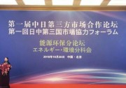 晶科能源錢晶：新能源基礎(chǔ)建設(shè)是中日第三方市場合作的入口和平臺