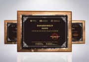 陽光浮體創(chuàng)新漂浮電站設(shè)計，助力平價上網(wǎng)