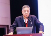 王勃華：2018年中國光伏新增裝機超過43GW，同比下降18%