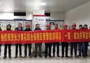 捷報頻傳 | 東旭藍(lán)天長沙黃花綜合保稅區(qū)智慧能源項目（一期）成功并網(wǎng)