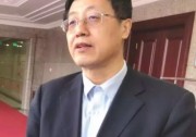 兩會(huì)聚焦| 武鋼：關(guān)注外部性價(jià)值，重估可再生能源價(jià)格，完善發(fā)展規(guī)劃及政策