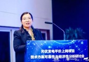 【光伏視點】李瓊慧：2020年我國太陽能發(fā)電裝機將達2.6億千瓦