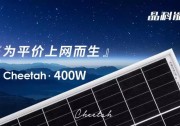 補貼驟降、平價將來——從全球視野分析不同區(qū)域?qū)M件類型的“偏好”