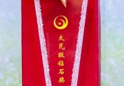 華為獲SNEC2019最高獎(jiǎng)項(xiàng)——太瓦級(jí)鉆石獎(jiǎng)