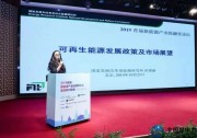 時璟麗：平價時代的光伏政策思路和預判