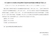 4.38億光伏補(bǔ)貼下發(fā)！合肥2018年度光伏電站資金補(bǔ)貼公示
