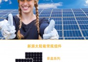 新源太陽(yáng)能：中德合資智能無(wú)熱斑組件