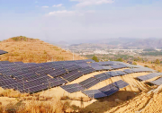 隆基攜手廣州發(fā)展新能源，打造98MW Hi-MO 4地面電站及工商業(yè)電站
