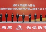 速度與刻度：解讀“電池片龍頭”通威的成長(zhǎng)密碼