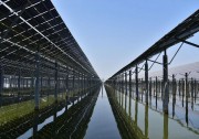 正信光電10GW高效組件項(xiàng)目開工建設(shè)