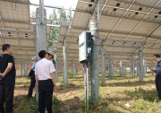河南平輿縣萬(wàn)冢鎮(zhèn)多措并舉做好光伏電站管護(hù)工作