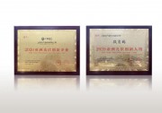 以技術(shù)創(chuàng)造價(jià)值！上能電氣出席AsiaSolar 2020