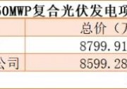 年底前交貨、440W+雙面最低1.719元/瓦，國家能源集團50MW組件采購公示中標候選人