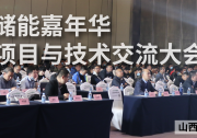 2020儲能嘉年華·項目與技術(shù)交流大會已圓滿落幕