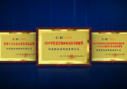 閃耀CREC，陽(yáng)光新能源一舉斬獲三大獎(jiǎng)項(xiàng)