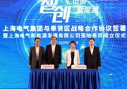 2025年前開發(fā)20GW新能源項(xiàng)目！上海電氣新能源正式成立