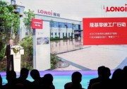 隆基兩項目入選“零碳中國”優(yōu)秀案例