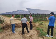 度電必爭！英利云鷹力保光伏電站安全穩(wěn)定迎峰度夏