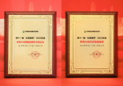 愛士惟斬獲“影響力光儲融合解決方案企業(yè)”等兩項大獎
