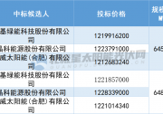 最高1.888元/W！華能1.3GW組件集采中標(biāo)人公示