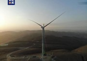 “隴電入魯”配套華能6GW風(fēng)光基地進入全面建設(shè)階段