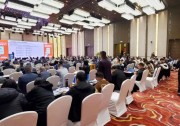 破局2023 | 第二屆工商業(yè)光伏高峰論壇隆重召開！