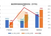 上半年光伏：戶用放緩，工商業(yè)增速，江蘇第一！