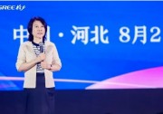 董明珠：格力成功研發(fā) “零電費(fèi)” 光伏空調(diào)！